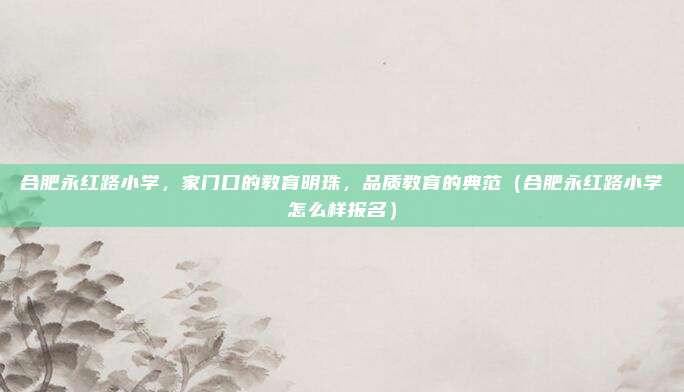 合肥永红路小学,家门口的教育明珠,品质教育的典范(合肥永红路小学怎么样报名)