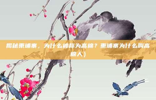揭秘柬埔寨,为什么被称为高棉?柬埔寨为什么叫高棉人)