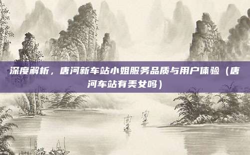 深度解析,唐河新车站小姐服务品质与用户体验(唐河车站有美女吗)