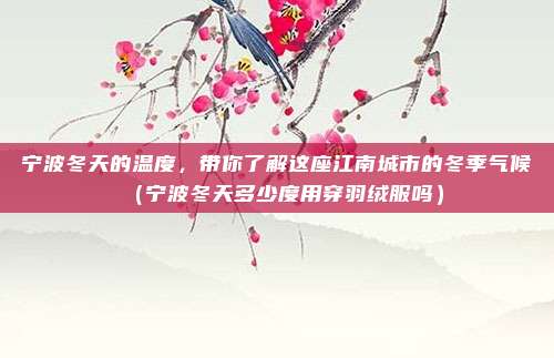 宁波冬天的温度,带你了解这座江南城市的冬季气候(宁波冬天多少度用穿羽绒服吗)