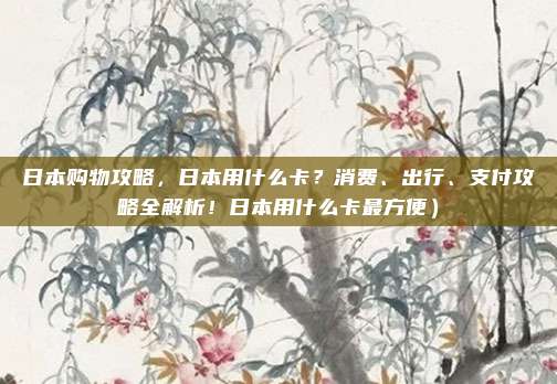 日本购物攻略,日本用什么卡?消费、出行、支付攻略全解析!日本用什么卡最方便)