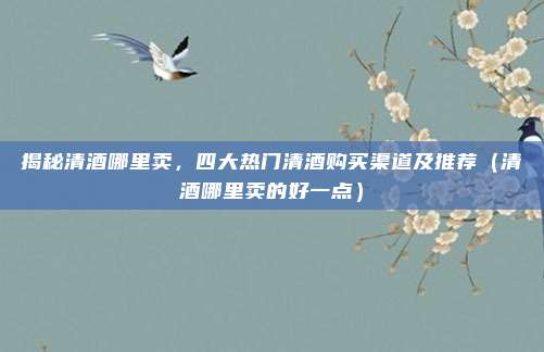 揭秘清酒哪里卖,四大热门清酒购买渠道及推荐(清酒哪里卖的好一点)