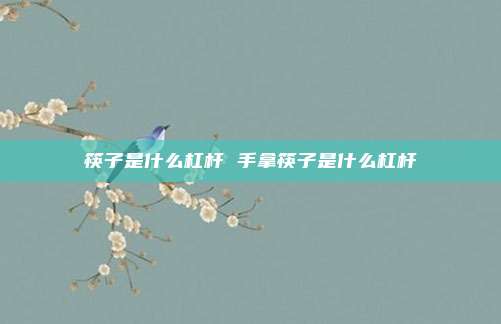 筷子是什么杠杆 手拿筷子是什么杠杆
