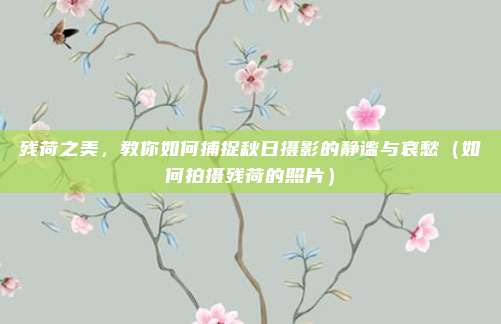 残荷之美,教你如何捕捉秋日摄影的静谧与哀愁(如何拍摄残荷的照片)