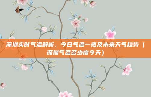 深圳实时气温解析,今日气温一览及未来天气趋势(深圳气温多少度今天)