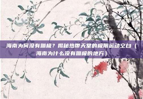 海南为何没有蹦极?揭秘热带天堂的极限运动空白(海南为什么没有蹦极的地方)