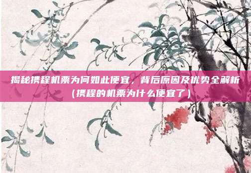 揭秘携程机票为何如此便宜,背后原因及优势全解析(携程的机票为什么便宜了)