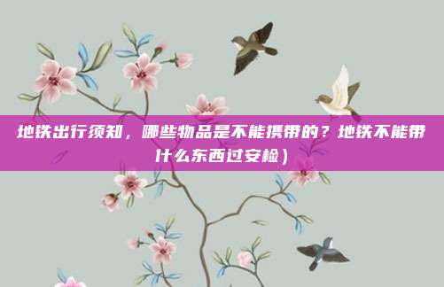 地铁出行须知,哪些物品是不能携带的?地铁不能带什么东西过安检)