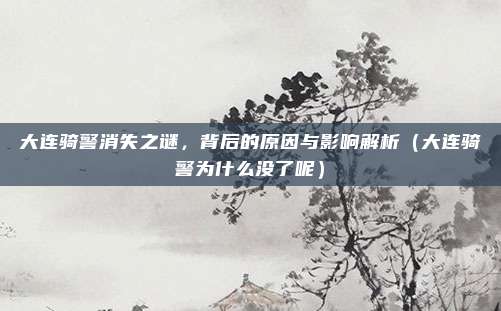 大连骑警消失之谜,背后的原因与影响解析(大连骑警为什么没了呢)