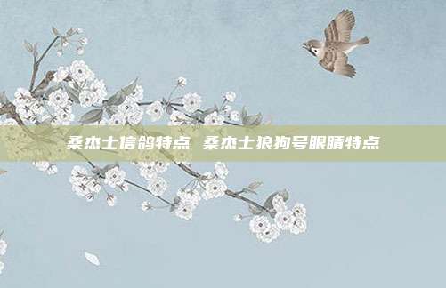 桑杰士信鸽特点 桑杰士狼狗号眼睛特点