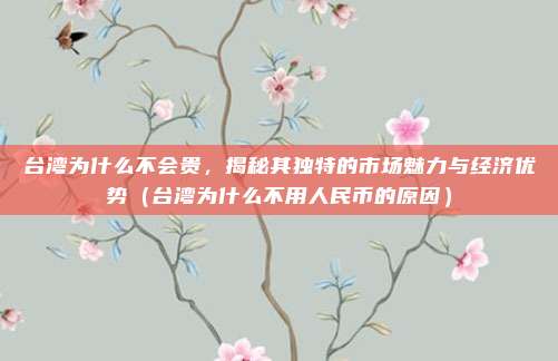 台湾为什么不会贵,揭秘其独特的市场魅力与经济优势(台湾为什么不用人民币的原因)