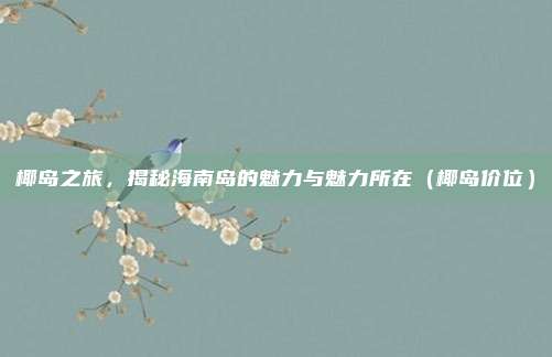 椰岛之旅,揭秘海南岛的魅力与魅力所在(椰岛价位)