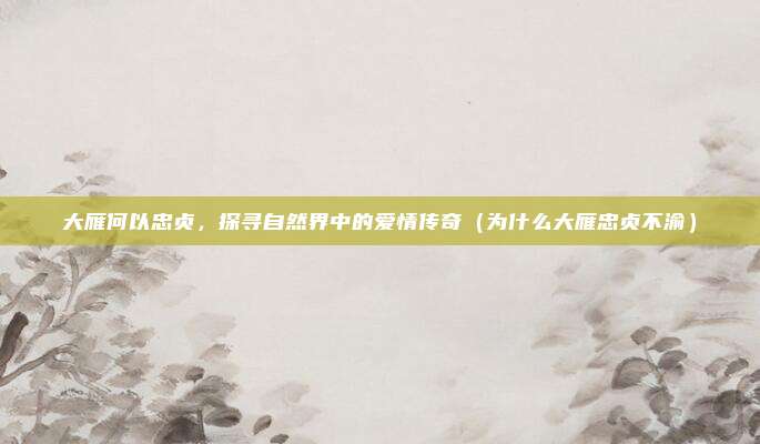 大雁何以忠贞,探寻自然界中的爱情传奇(为什么大雁忠贞不渝)