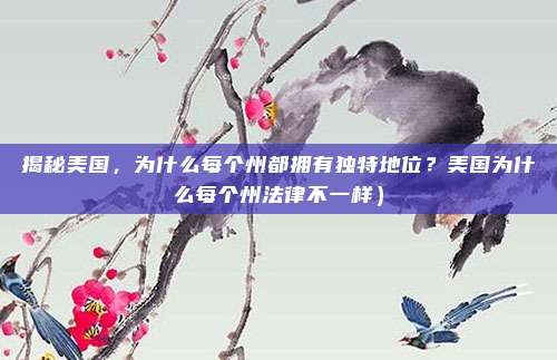 揭秘美国,为什么每个州都拥有独特地位?美国为什么每个州法律不一样)