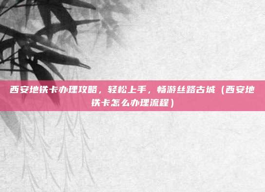 西安地铁卡办理攻略,轻松上手,畅游丝路古城(西安地铁卡怎么办理流程)