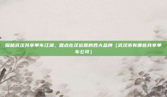 探秘武汉共享单车江湖,盘点在汉运营的各大品牌(武汉市有哪些共享单车公司)