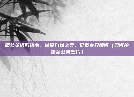 蒲公英摄影指南,捕捉自然之美,记录春日瞬间(如何拍摄蒲公英照片)