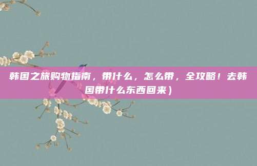 韩国之旅购物指南,带什么,怎么带,全攻略!去韩国带什么东西回来)