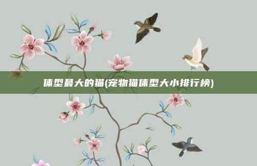 体型最大的猫(宠物猫体型大小排行榜)