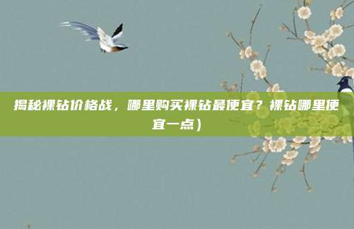 揭秘裸钻价格战,哪里购买裸钻最便宜?裸钻哪里便宜一点)