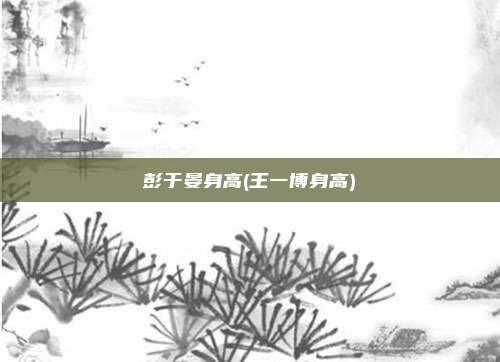 彭于晏身高(王一博身高)