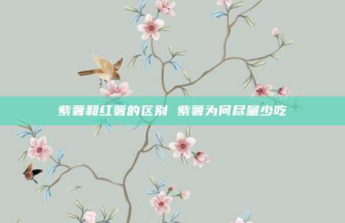 紫薯和红薯的区别 紫薯为何尽量少吃