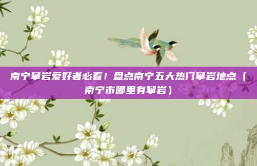 南宁攀岩爱好者必看!盘点南宁五大热门攀岩地点(南宁市哪里有攀岩)