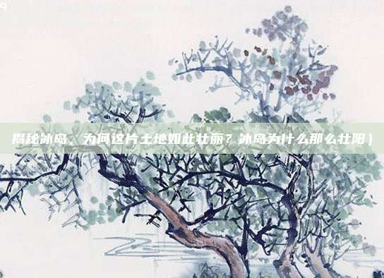 揭秘冰岛,为何这片土地如此壮丽?冰岛为什么那么壮阳)