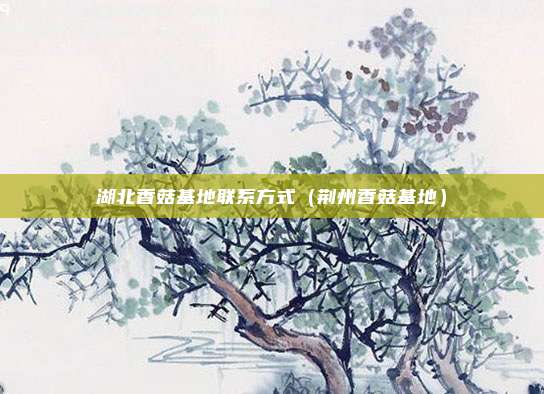 湖北香菇基地联系方式（荆州香菇基地）
