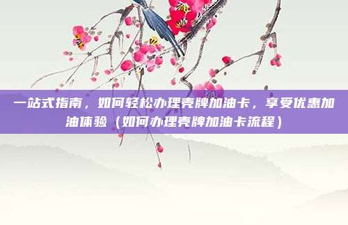 一站式指南,如何轻松办理壳牌加油卡,享受优惠加油体验(如何办理壳牌加油卡流程)