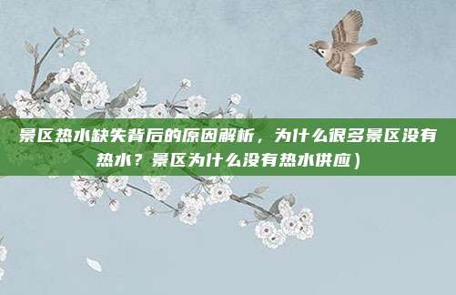 景区热水缺失背后的原因解析,为什么很多景区没有热水?景区为什么没有热水供应)