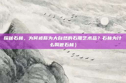 探秘石林,为何被称为大自然的石雕艺术品?石林为什么叫做石林)