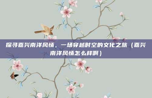 探寻嘉兴南洋风情,一场穿越时空的文化之旅(嘉兴南洋风情怎么样啊)