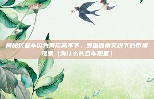 揭秘长春车价为何居高不下,多重因素交织下的市场现象(为什么长春车便宜)