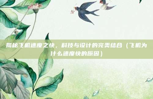 揭秘飞机速度之快,科技与设计的完美结合(飞机为什么速度快的原因)