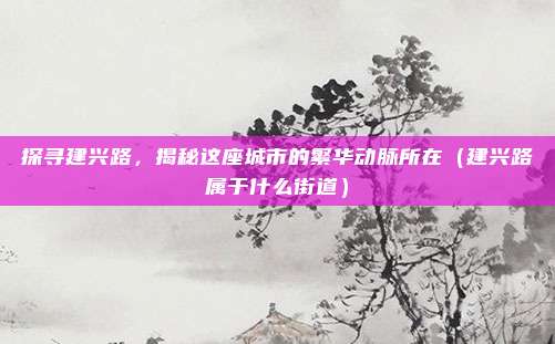 探寻建兴路,揭秘这座城市的繁华动脉所在(建兴路属于什么街道)