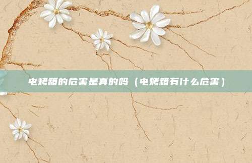 电烤箱的危害是真的吗（电烤箱有什么危害）