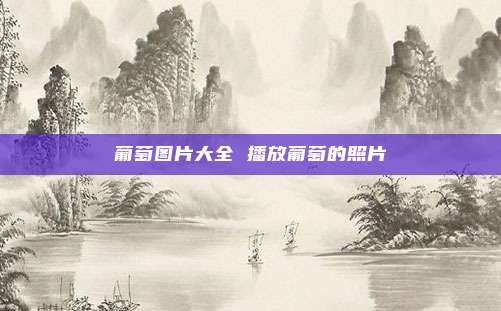 葡萄图片大全 播放葡萄的照片