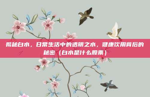 揭秘白水,日常生活中的透明之水,健康饮用背后的秘密(白水是什么股票)