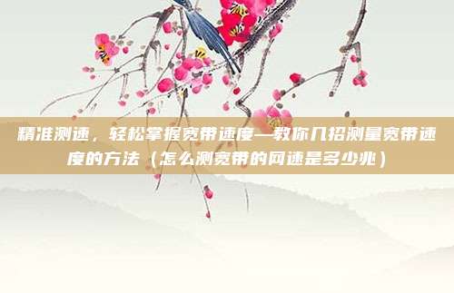 精准测速,轻松掌握宽带速度—教你几招测量宽带速度的方法(怎么测宽带的网速是多少兆)