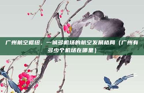 广州航空枢纽,一城多机场的航空发展格局(广州有多少个机场在哪里)