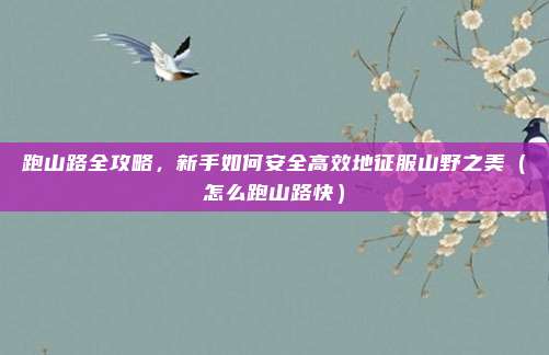 跑山路全攻略,新手如何安全高效地征服山野之美(怎么跑山路快)