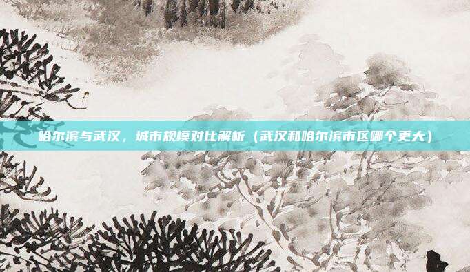 哈尔滨与武汉,城市规模对比解析(武汉和哈尔滨市区哪个更大)