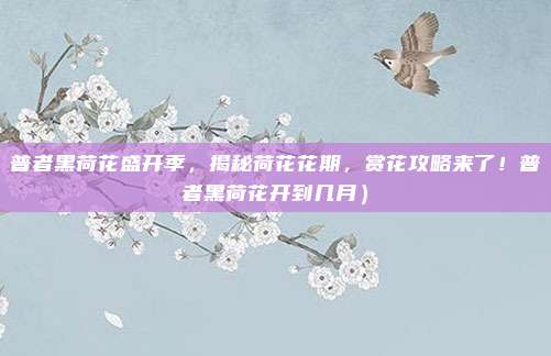 普者黑荷花盛开季,揭秘荷花花期,赏花攻略来了!普者黑荷花开到几月)