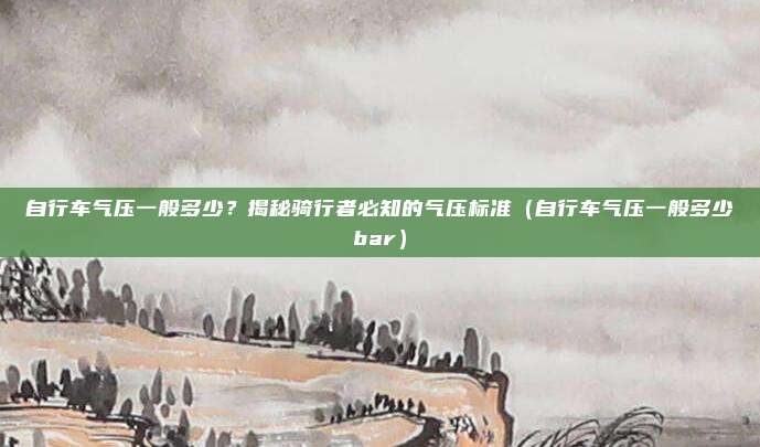 自行车气压一般多少?揭秘骑行者必知的气压标准(自行车气压一般多少bar)