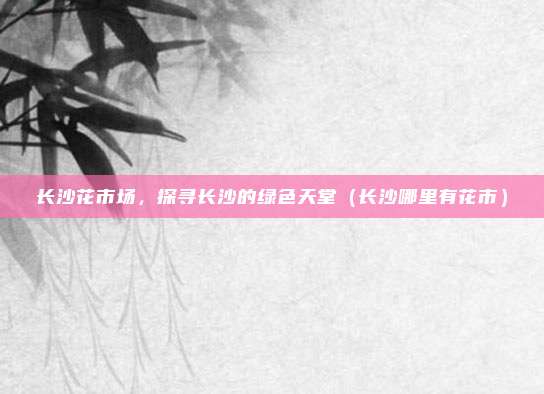 长沙花市场,探寻长沙的绿色天堂(长沙哪里有花市)