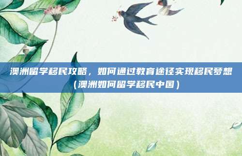 澳洲留学移民攻略,如何通过教育途径实现移民梦想(澳洲如何留学移民中国)