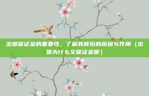 出国保证金的重要性,了解其背后的原因与作用(出国为什么交保证金呢)