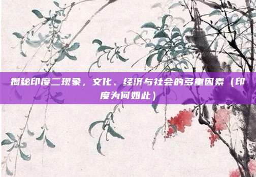 揭秘印度二现象,文化、经济与社会的多重因素(印度为何如此)