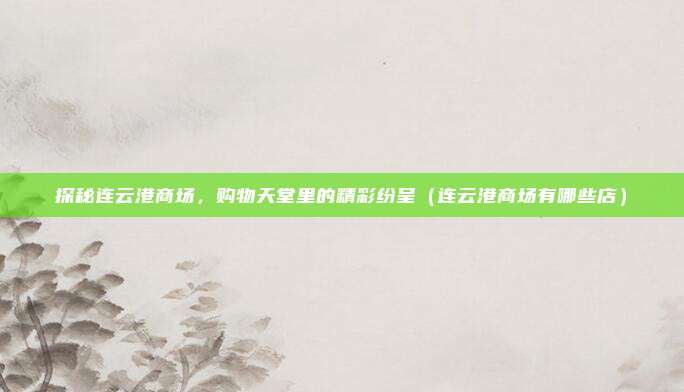 探秘连云港商场,购物天堂里的精彩纷呈(连云港商场有哪些店)
